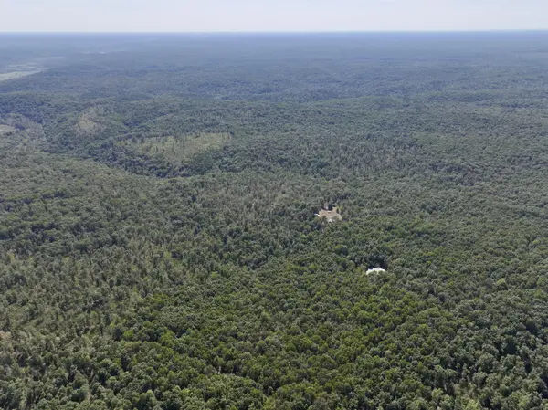 196 Forest Rd 9673, Fremont, MO 63941