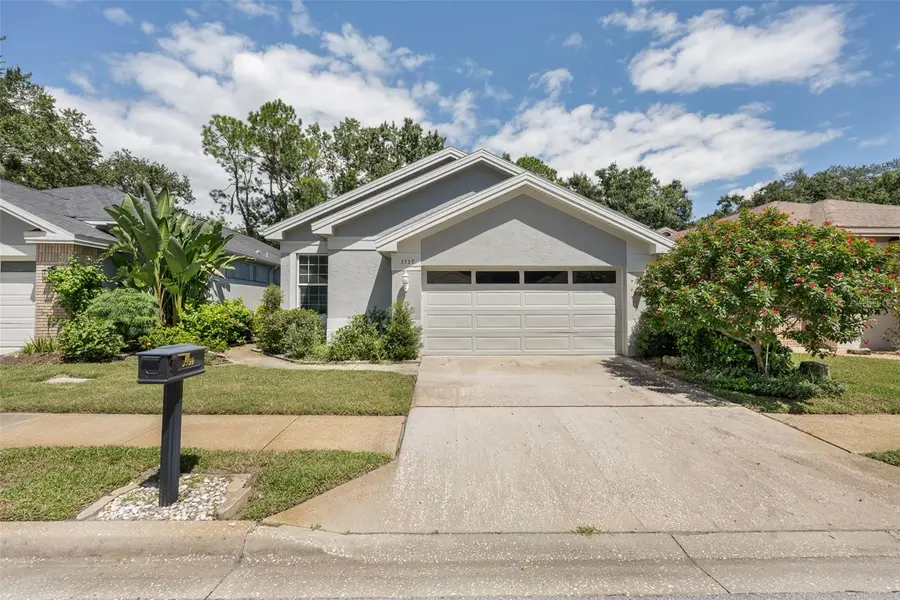 3559 SYLVAN EDGE DR, Palm Harbor, FL 34685
