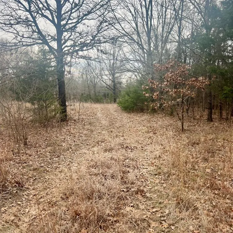 TBD County Road 4574 #13743, Sulphur Springs, TX 75482