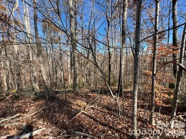 TBD Trail Ridge DR #113, Marion, NC 28752