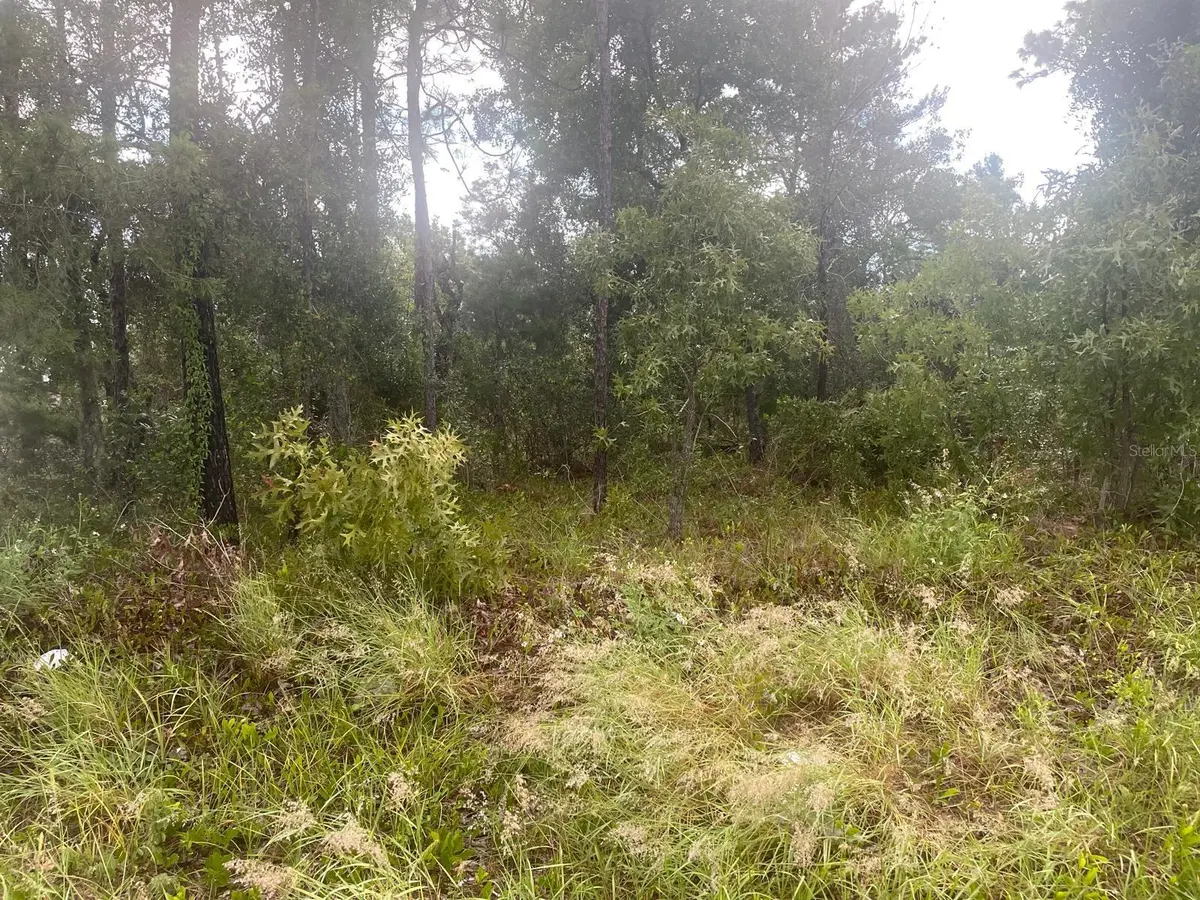 Address not disclosed, Spring Hill, FL 34609