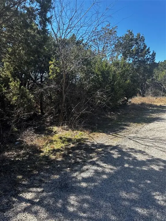 1123 Scenic Drive, Granbury, TX 76048