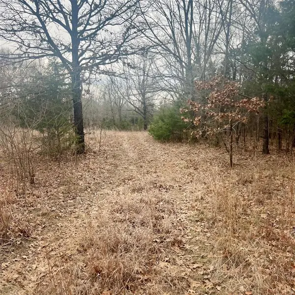 TBD County Road 4574 #13743, Sulphur Springs, TX 75482