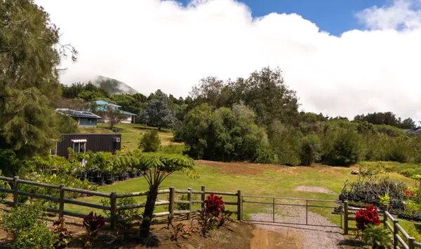 64-5288 MOKULOA DR, Kamuela, HI 96743