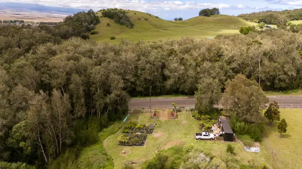 64-5288 MOKULOA DR, Kamuela, HI 96743