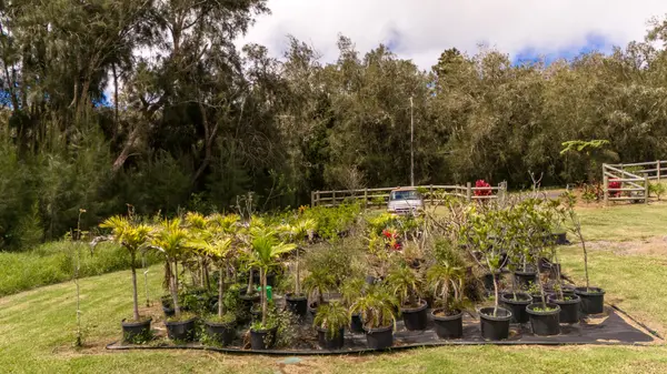 64-5288 MOKULOA DR, Kamuela, HI 96743