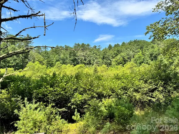 361 Rooster CV, Brevard, NC 28712
