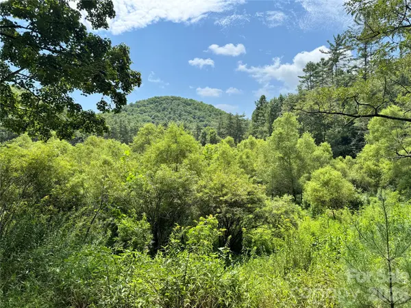 361 Rooster CV, Brevard, NC 28712
