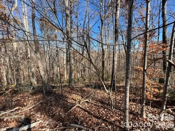 TBD Trail Ridge DR #113, Marion, NC 28752