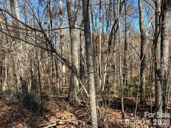 TBD Trail Ridge DR #113, Marion, NC 28752