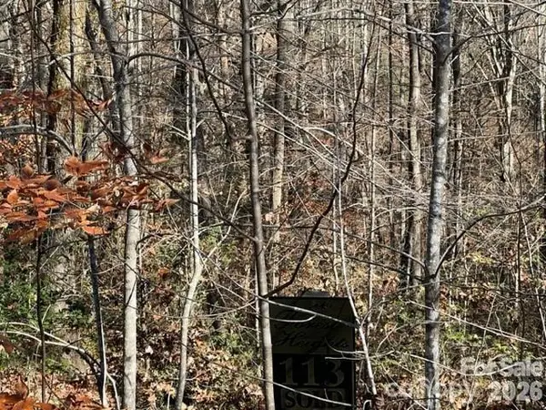TBD Trail Ridge DR #113, Marion, NC 28752