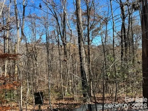 TBD Trail Ridge DR #113, Marion, NC 28752