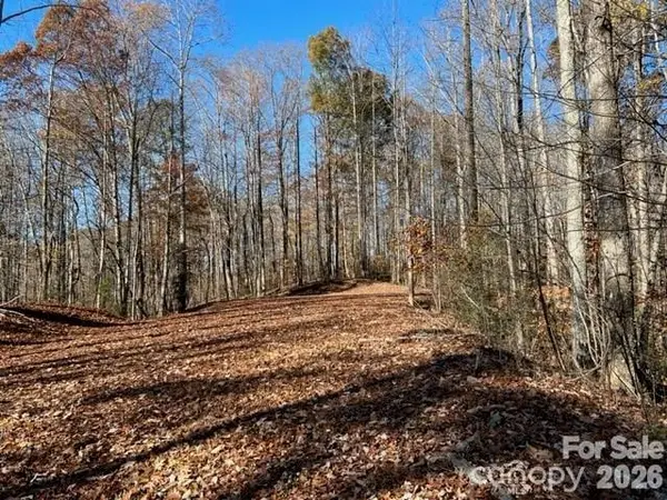 TBD Trail Ridge DR #113, Marion, NC 28752