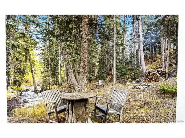 7739 County Road 43, Bailey, CO 80421