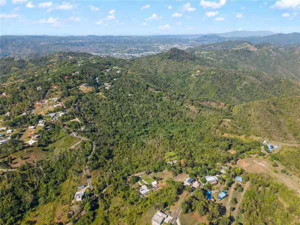 BO. CERCADILLO, Cayey, PR 00736