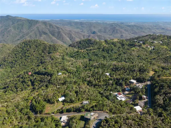 BO. CERCADILLO, Cayey, PR 00736