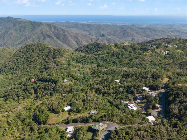 BO. CERCADILLO, Cayey, PR 00736