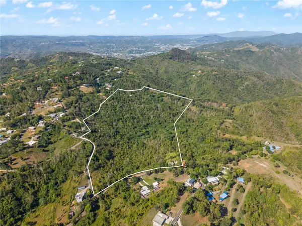 BO. CERCADILLO, Cayey, PR 00736