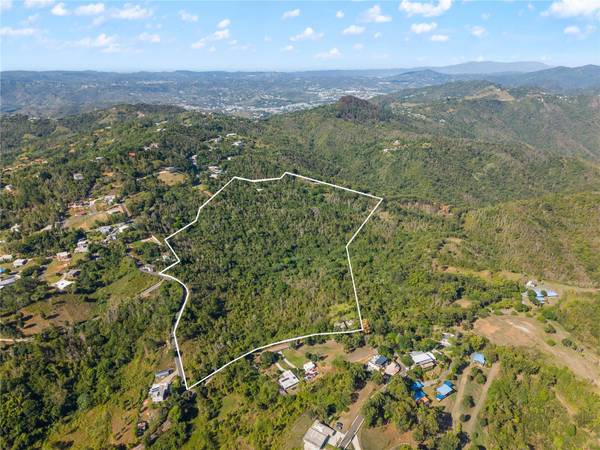 BO. CERCADILLO, Cayey, PR 00736