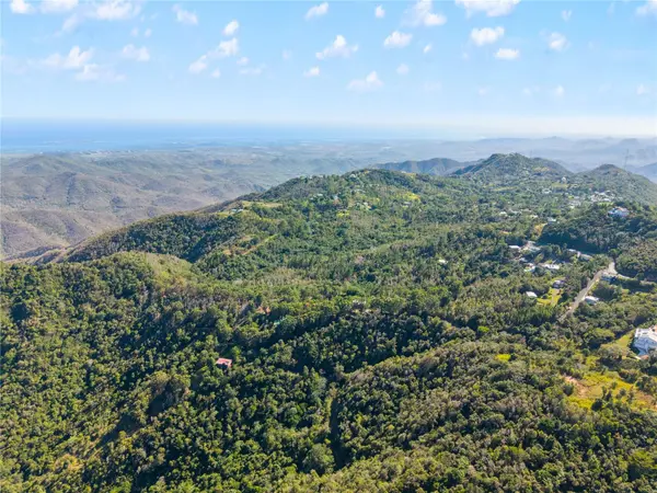 BO. CERCADILLO, Cayey, PR 00736