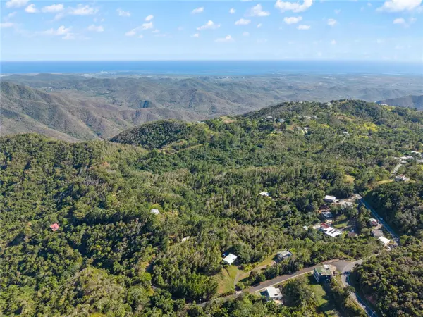 BO. CERCADILLO, Cayey, PR 00736