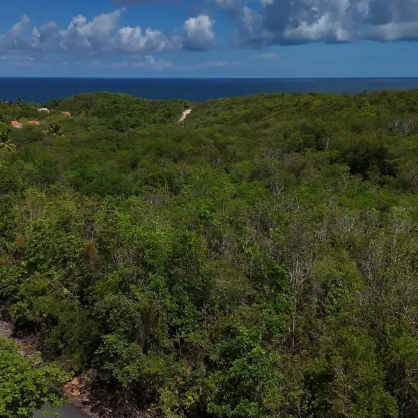 ROBLEY VALLEY #46, Humacao, PR 00791