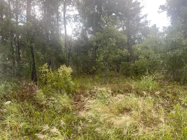 Spring Hill, FL 34609