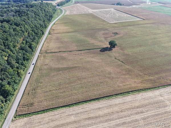 00 Bluff RD, Columbia, IL 62236