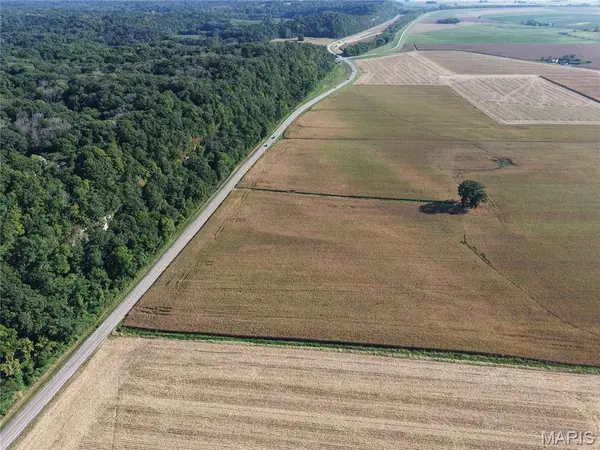 00 Bluff RD, Columbia, IL 62236