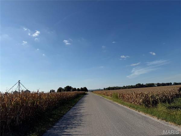 00 Bluff RD, Columbia, IL 62236