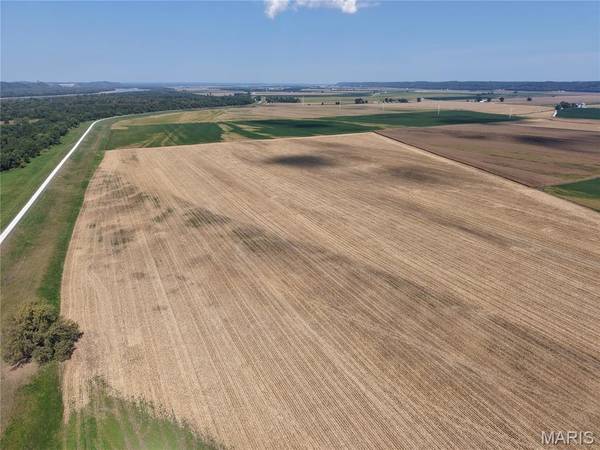 00 Levee RD, Fults, IL 62244