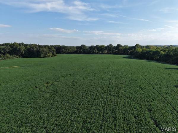 00 Wesbecher RD, Ellis Grove, IL 62241