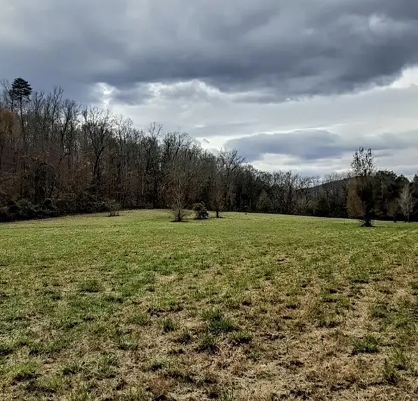 4880 Hills Creek RD, Mc Minnville, TN 37110