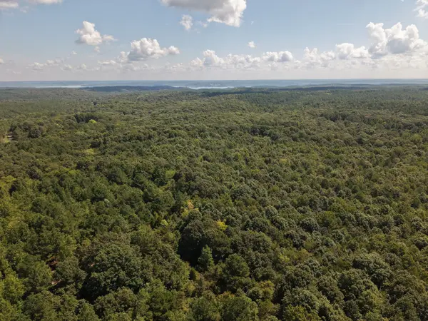 0 Point Mason Rd, Big Sandy, TN 38221