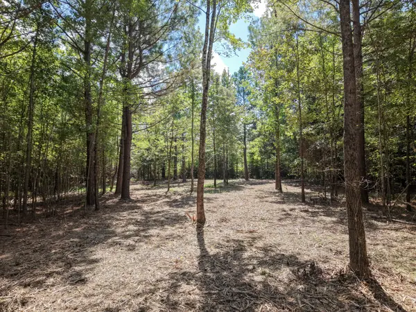 0 Point Mason Rd, Big Sandy, TN 38221