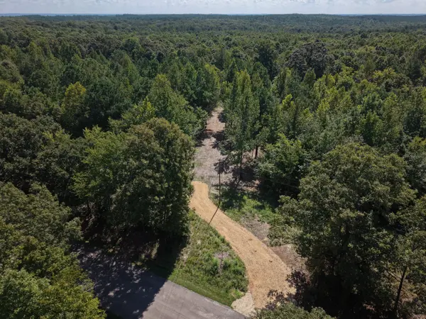 0 Point Mason Rd, Big Sandy, TN 38221