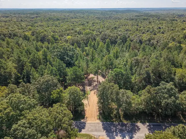 0 Point Mason Rd, Big Sandy, TN 38221