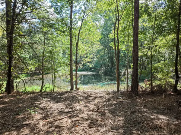 0 Point Mason Rd, Big Sandy, TN 38221