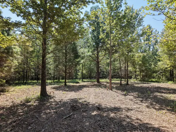 0 Point Mason Rd, Big Sandy, TN 38221