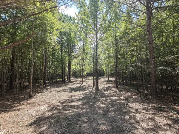 0 Point Mason Rd, Big Sandy, TN 38221