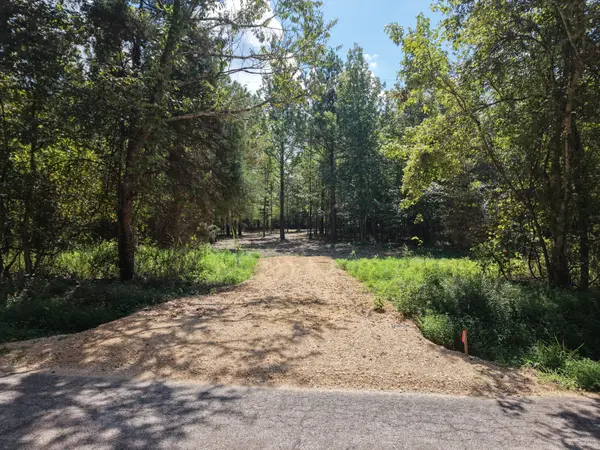 0 Point Mason Rd, Big Sandy, TN 38221