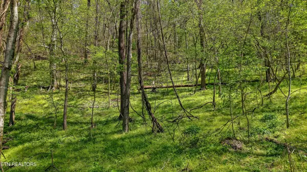 0 New Highway 68, Madisonville, TN 37354