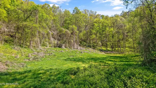0 New Highway 68, Madisonville, TN 37354