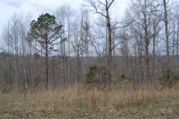 0 Fox Hill Road, Baxter, TN 38544