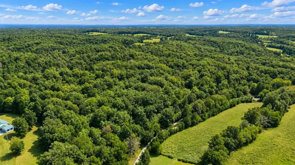 0 Dog Creek Road, Primm Springs, TN 38476