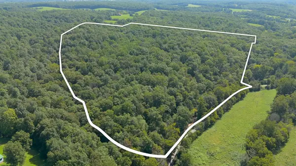 0 Dog Creek Road, Primm Springs, TN 38476