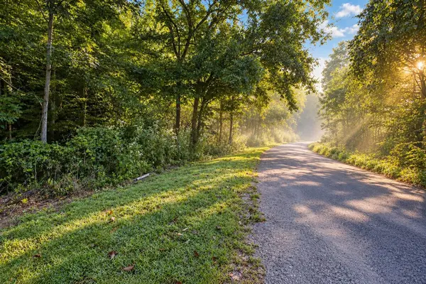 0 Dog Creek Road, Primm Springs, TN 38476