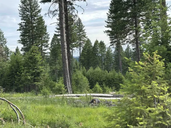 36XX Lot A Sheridan Rd, Republic, WA 99166