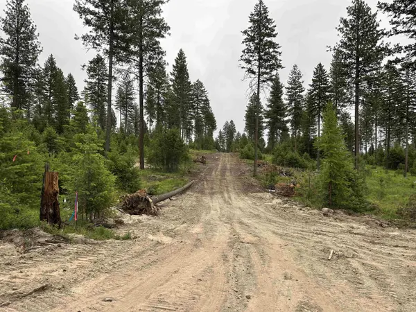 36XX Lot A Sheridan Rd, Republic, WA 99166