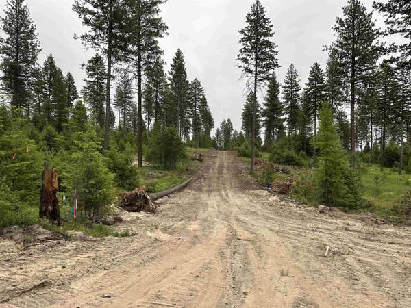 36XX Lot A Sheridan Rd, Republic, WA 99166